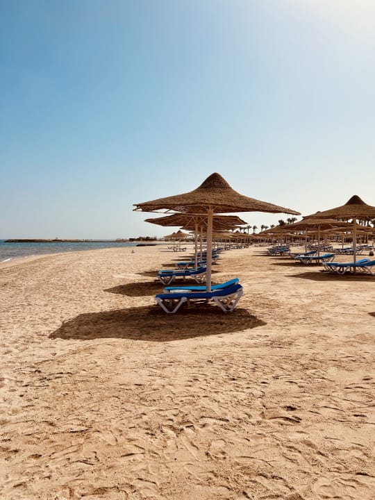 Strand Calimera Blend Paradise
