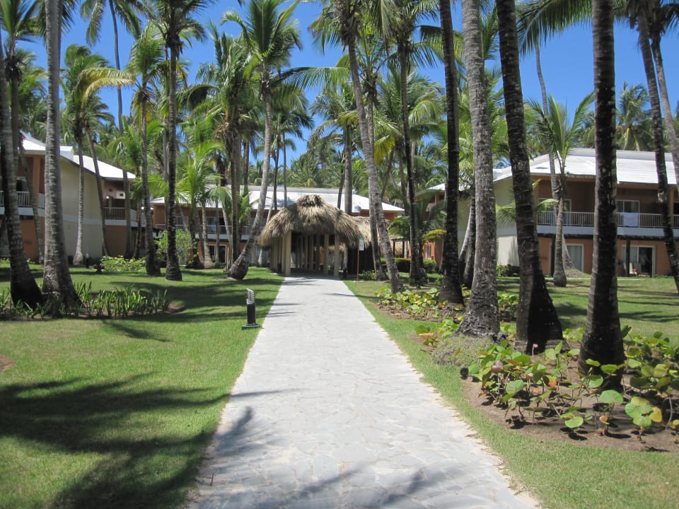 Gartenanlage Hotel Grand Palladium Palace Resort, Spa & Casino