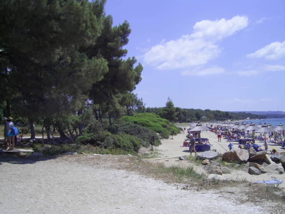 Strandabschnitt mit vielen Kindern Blue Dolphin Resort Hotel