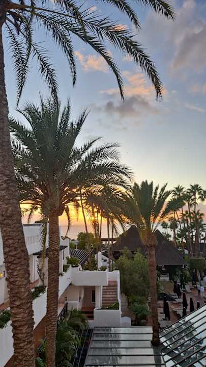 Zimmer Dreams Jardín Tropical