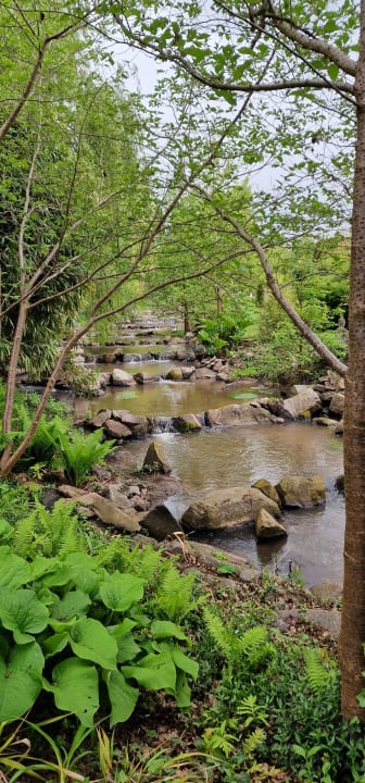 Gartenanlage Hofgut Holzmuhle
