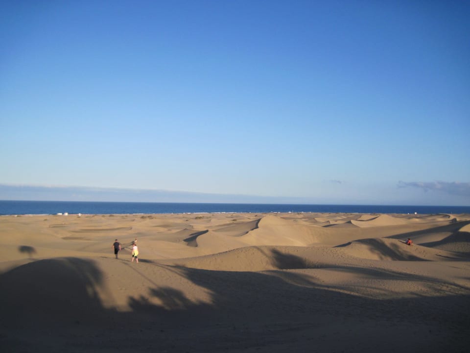Blick auf die Dünen Hotel Riu Palace Maspalomas Adults Only