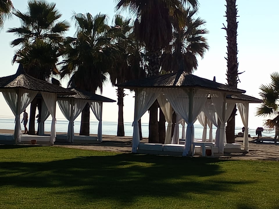 Strand ROBINSON NOBILIS