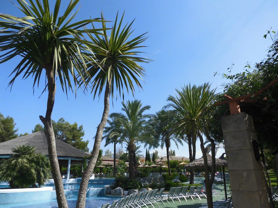 Pool Prinsotel La Dorada