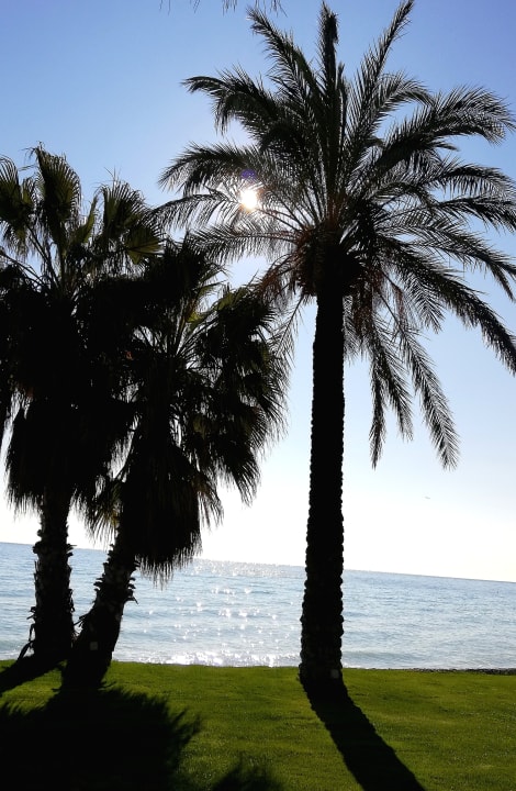 Strand TUI MAGIC LIFE Beldibi +16