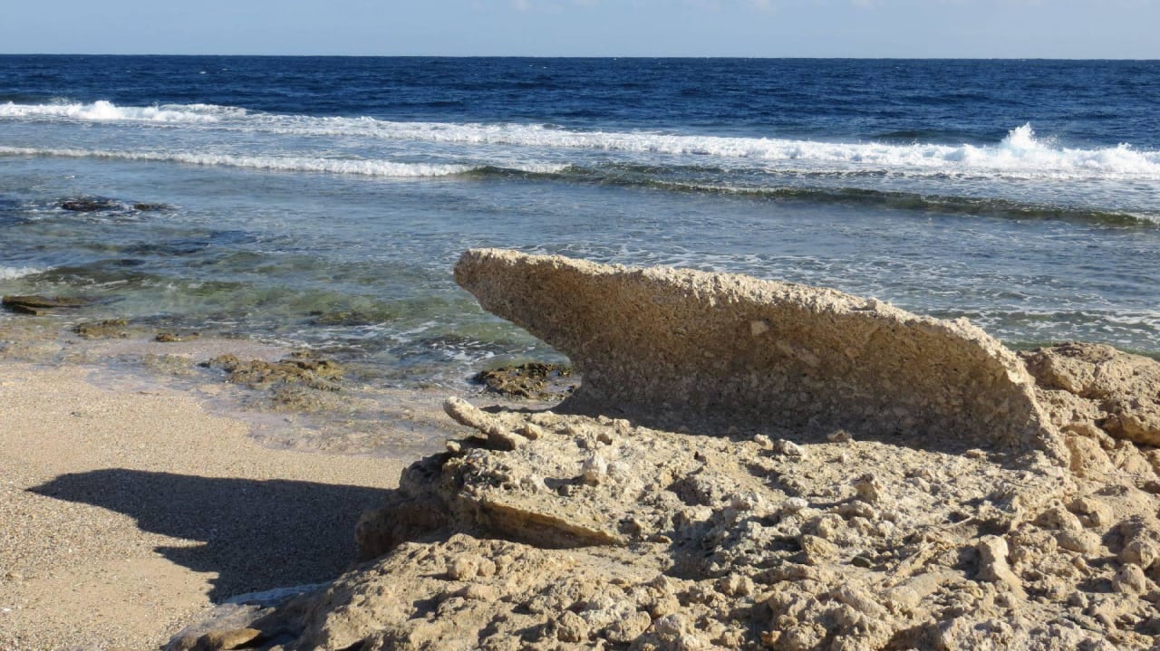 Selbst erklärend Coral Hills Resorts & SPA