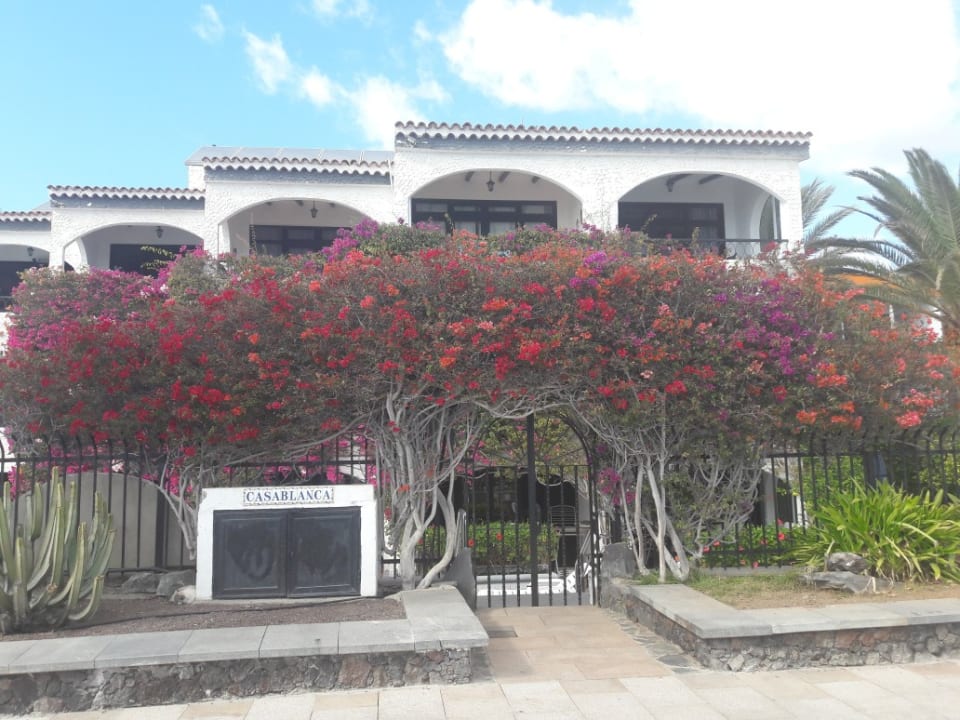 Gartenanlage Hotel Parque Tropical