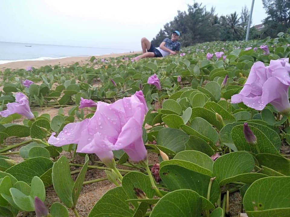 Strand Maikhao Palm Beach Resort