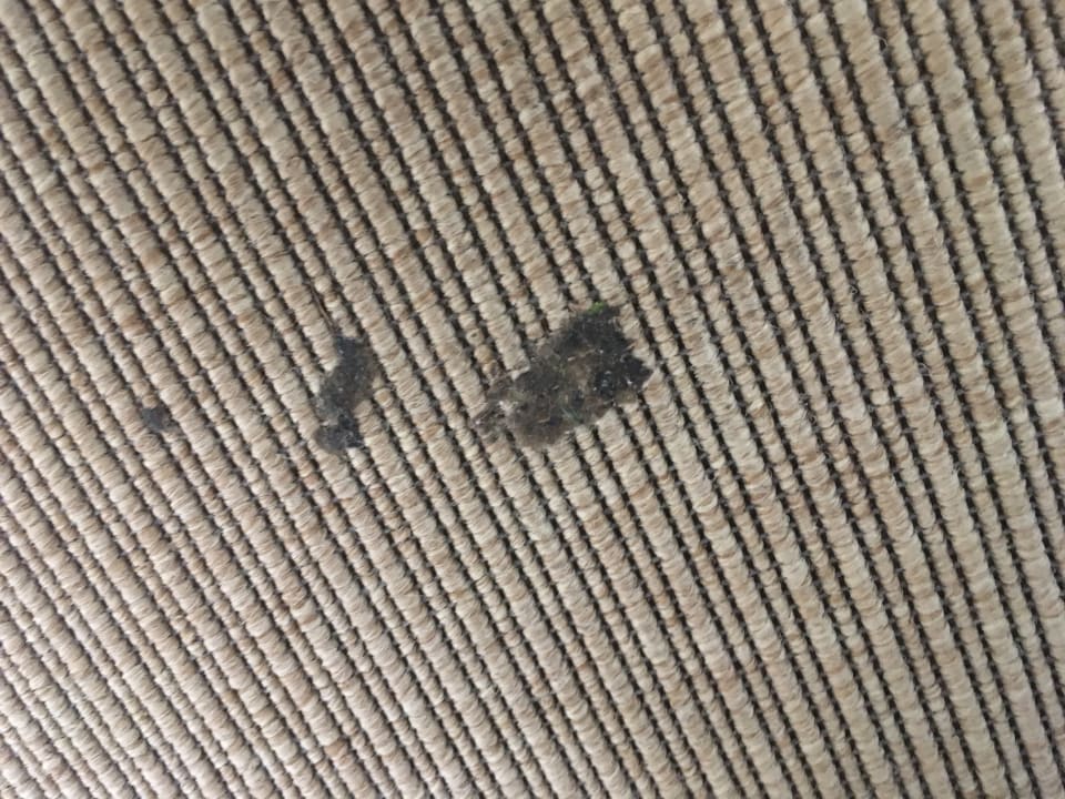 Zimmer Landal Grønhøj Strand Resort