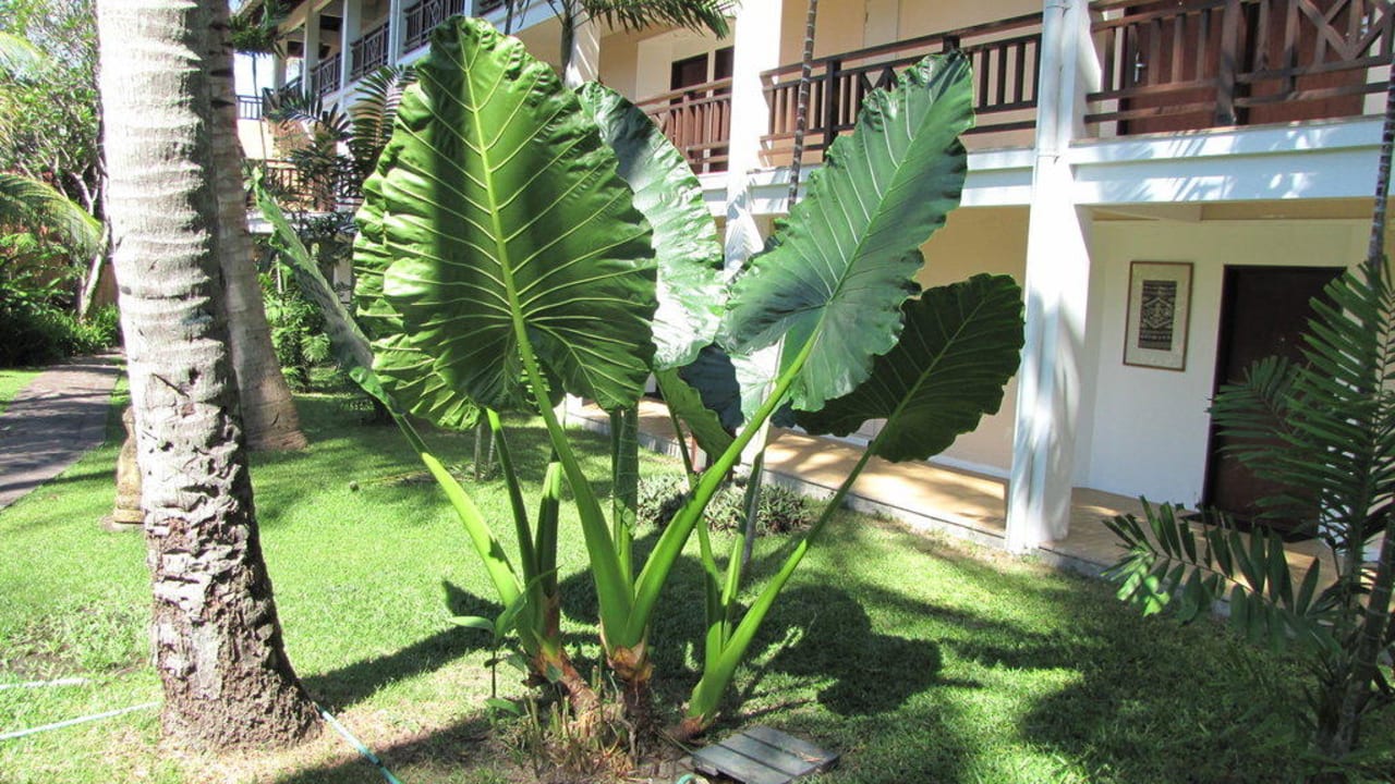 Gartenbereich Hotel Sheraton Senggigi Lombok Beach Resort