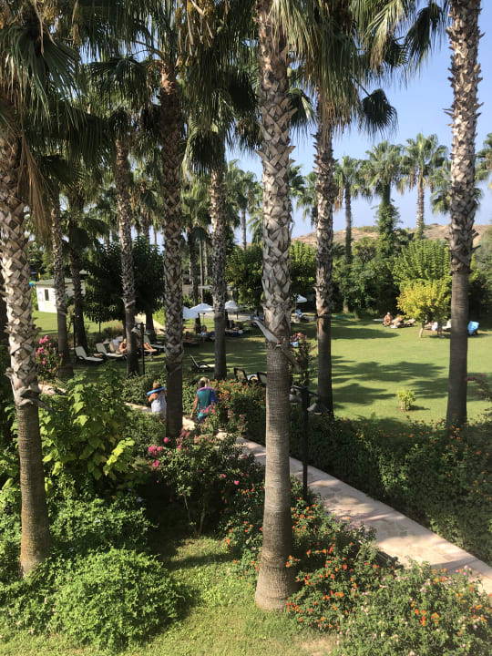 Gartenanlage Royal Atlantis Beach Hotel