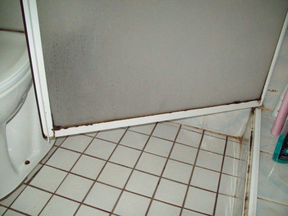 Schimmelbefall Hotel Mari