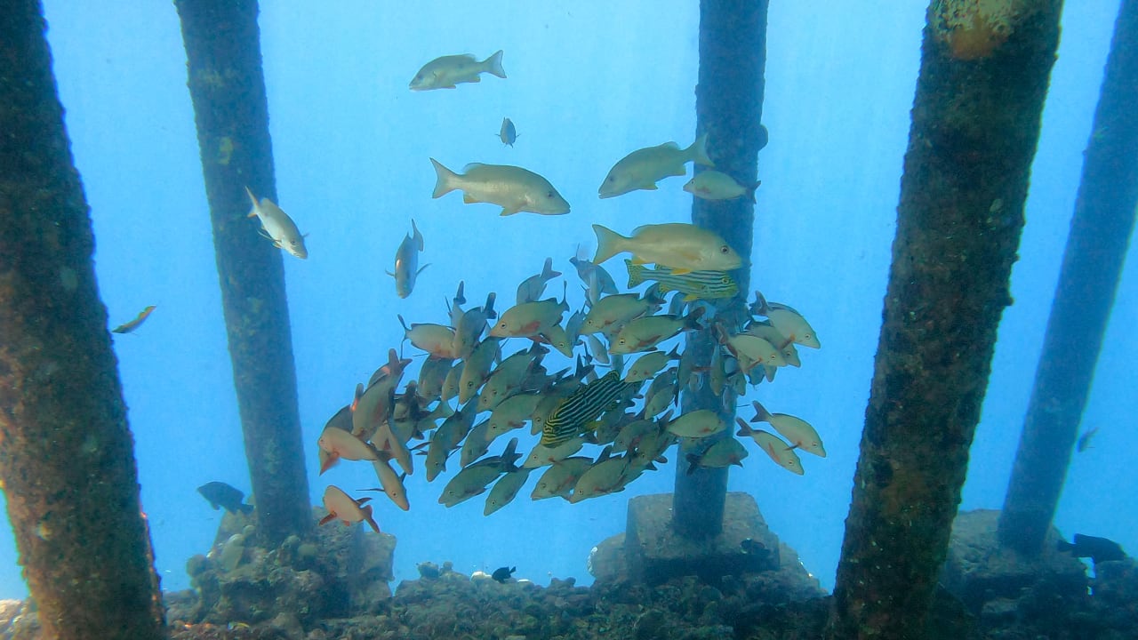 Sport & Freizeit Adaaran Select Meedhupparu Island Resort - Premium All Inclusive