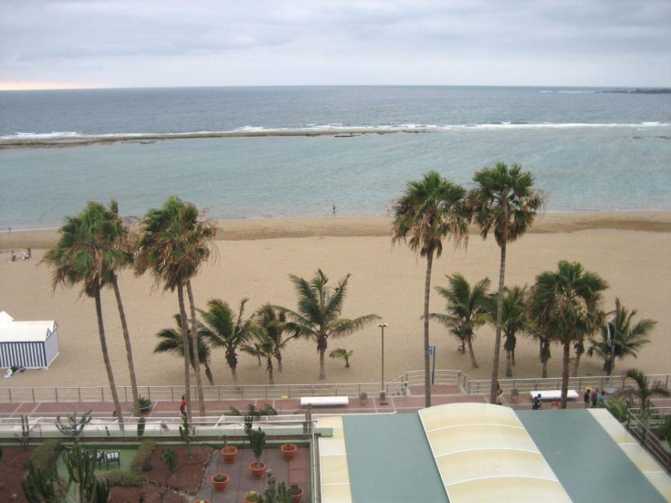 Reina Isabel Bull Reina Isabel & Spa