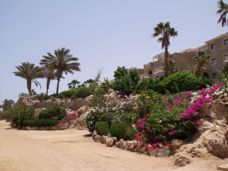 Strandabschnitt Pickalbatros Citadel Resort