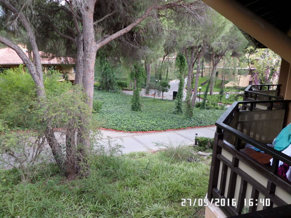 Ausblick aus dem Zimmer  Asteria Family Belek