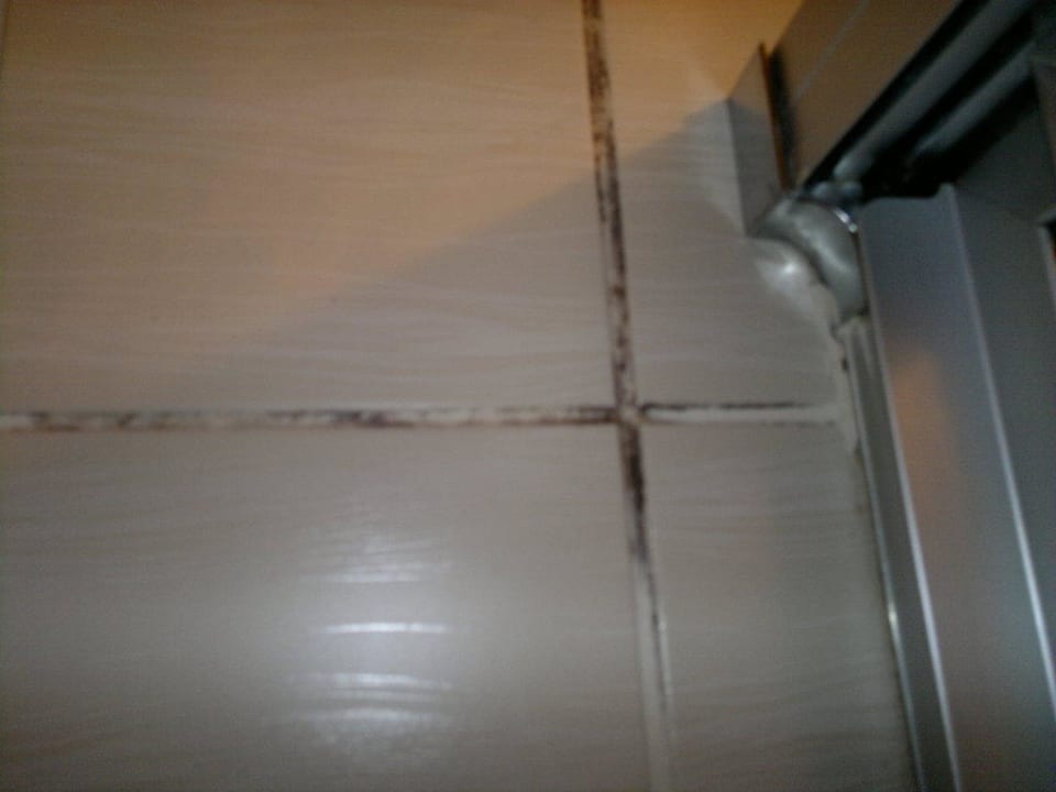 Schimmel in der Dusche Hotel Blauer Bock