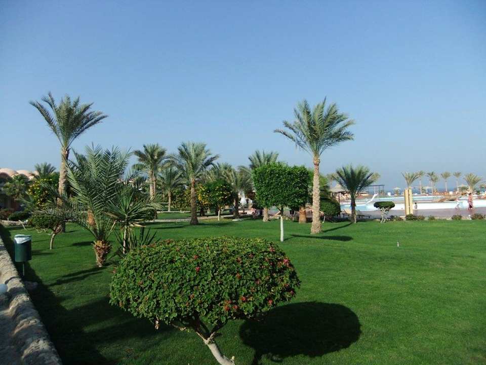 Gartenanlage wunderbar grün Three Corners Sea Beach Resort