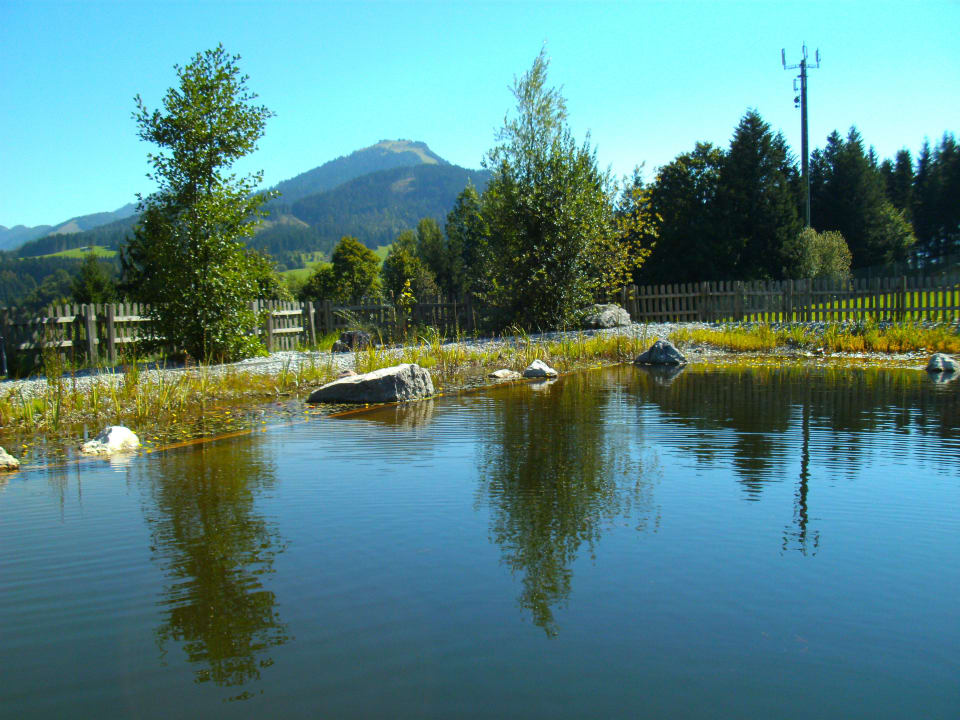 Schwimmteich Hotel Chalets Grosslehen