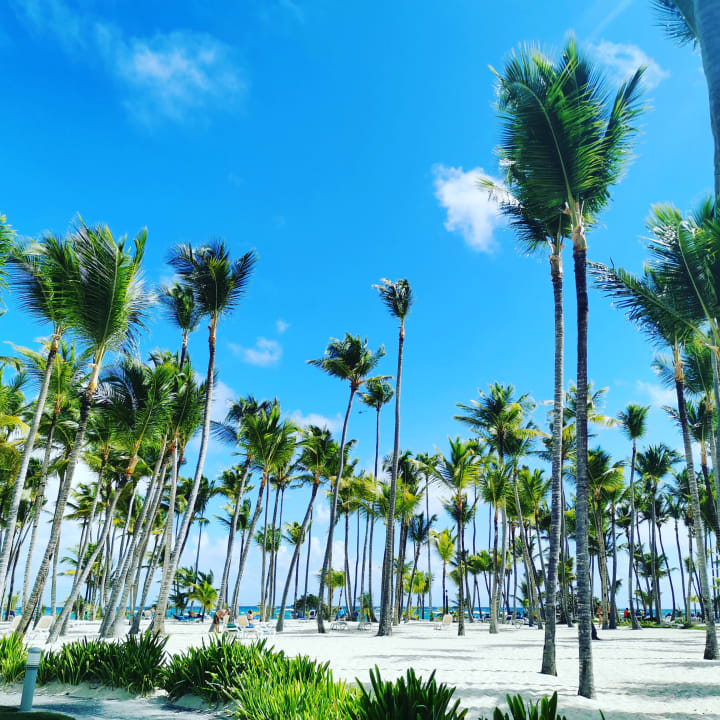 Ausblick Hotel Riu Palace Punta Cana