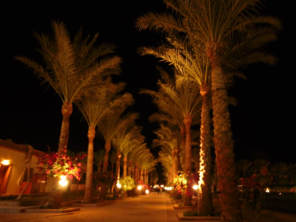 Bei Nacht Riviera Aqua Park Resort