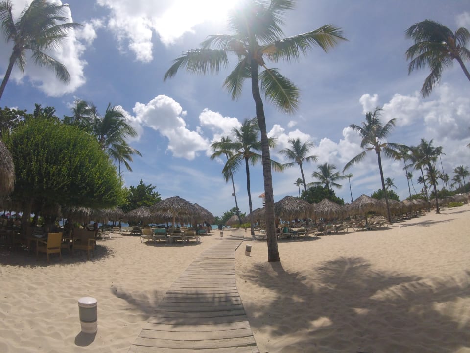 Strand Iberostar Selection Hacienda Dominicus