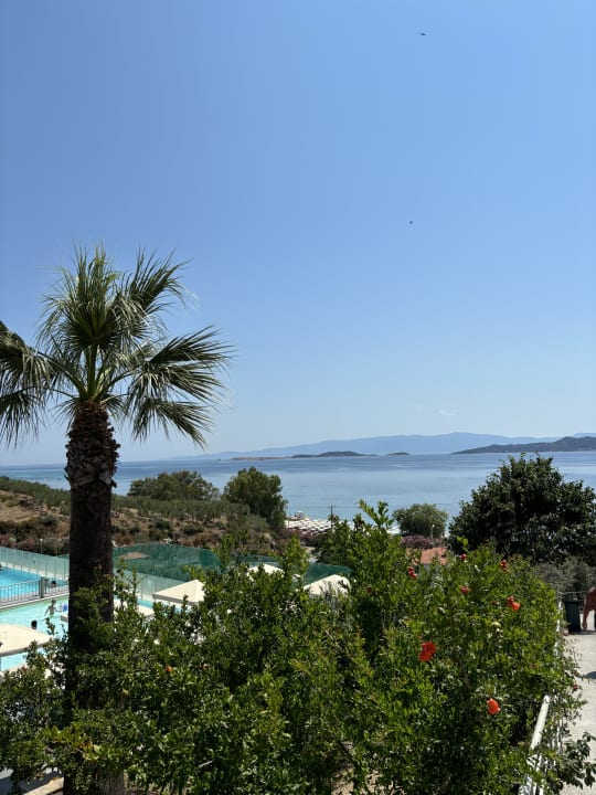 Gastro Akrathos Beach Hotel