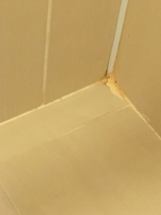 Zimmer Hotel Catty Cats Garden