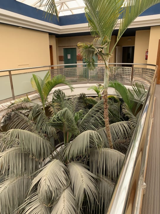 Sonstiges IFA Altamarena by Lopesan Hotels