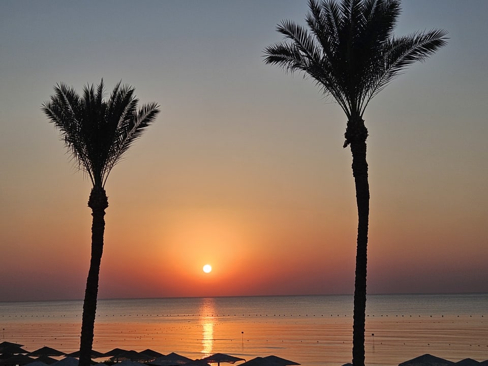 Außenansicht Makadi Spa - Adults only