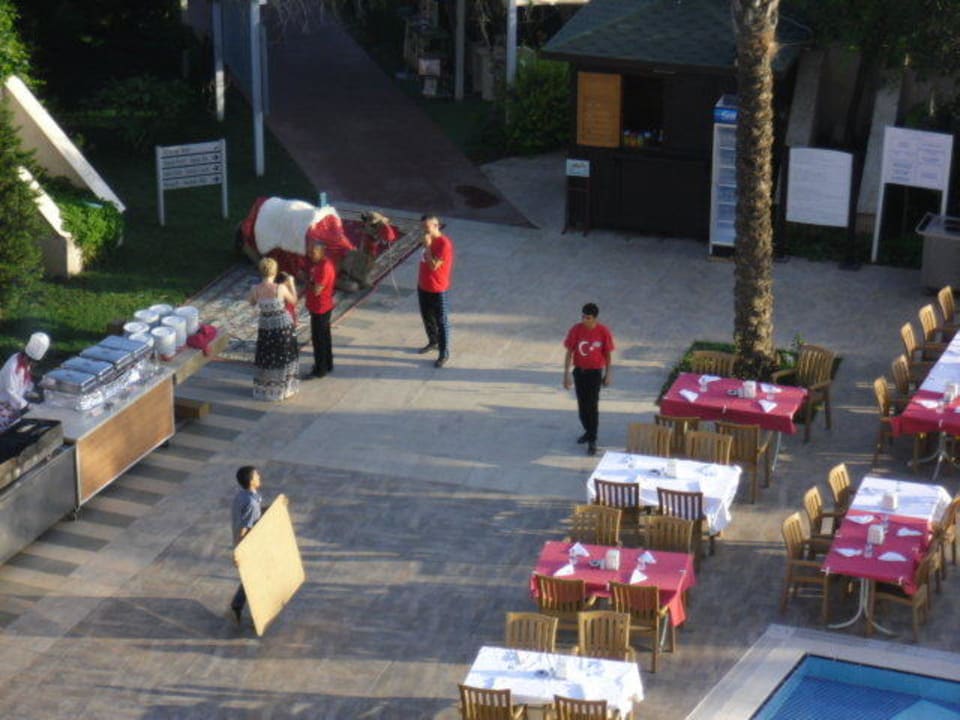 Ein Kamel bei "turkish night" Saturn Palace Resort Hotel