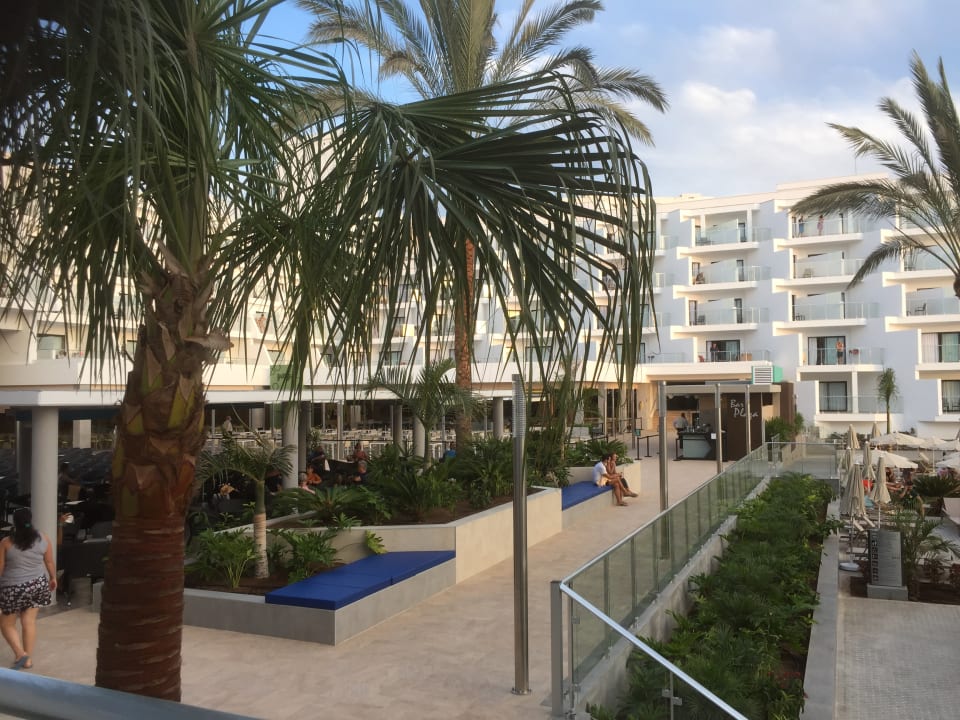 Außenansicht Hotel Riu Buenavista