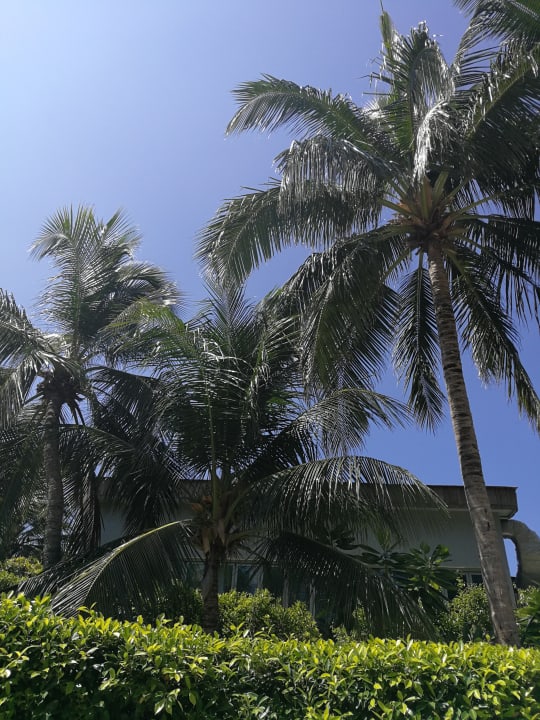 Gartenanlage Kuramathi Maldives