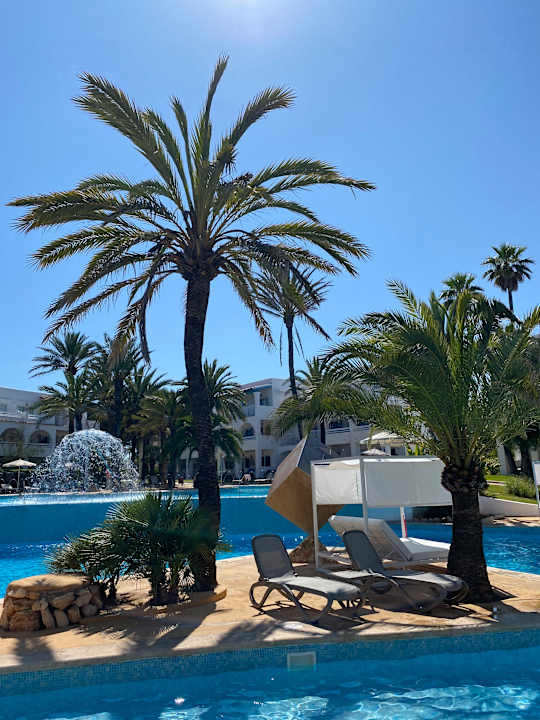 Pool Calimera Fido Gardens