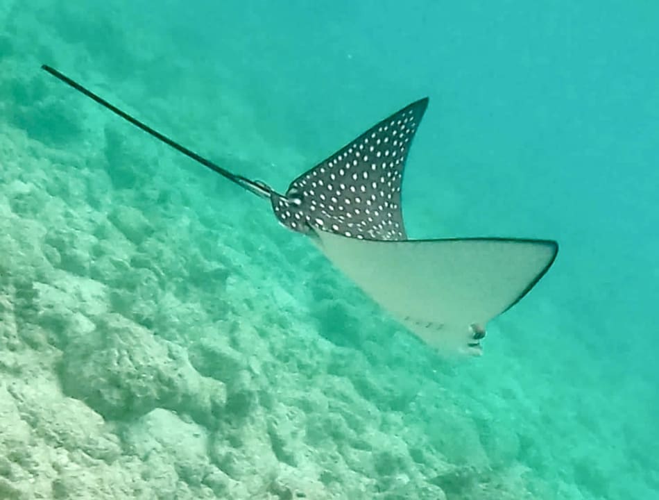 Strand Dreamland The Unique Sea & Lake Resort / Spa