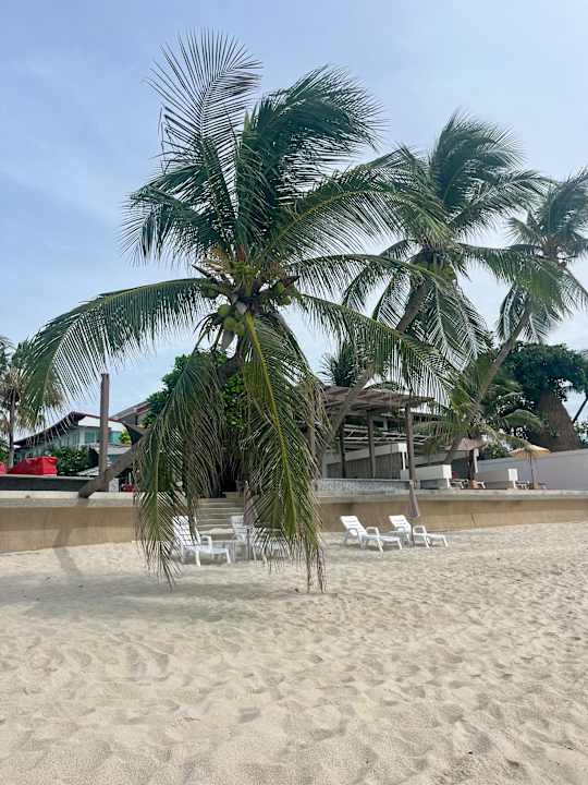 Strand Samui Resotel Beach Resort