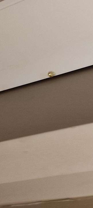 Zimmer Porto Bello Royal