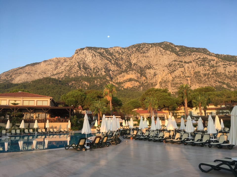 Pool Crystal Flora Pearl Collection