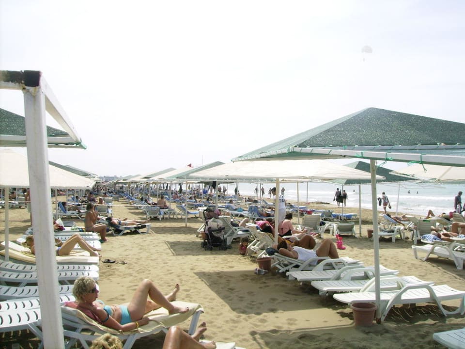 Strand Kamelya Aishen Club