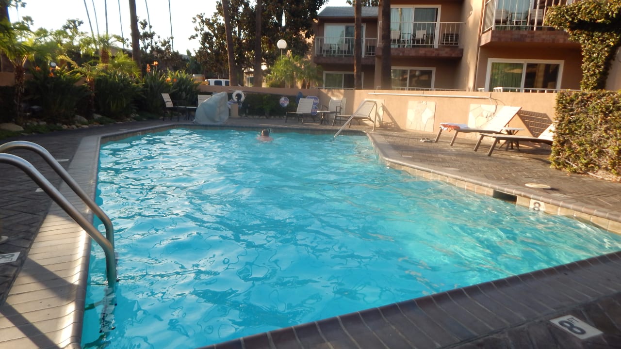 Pool Best Western Hotel Pine Tree Motel