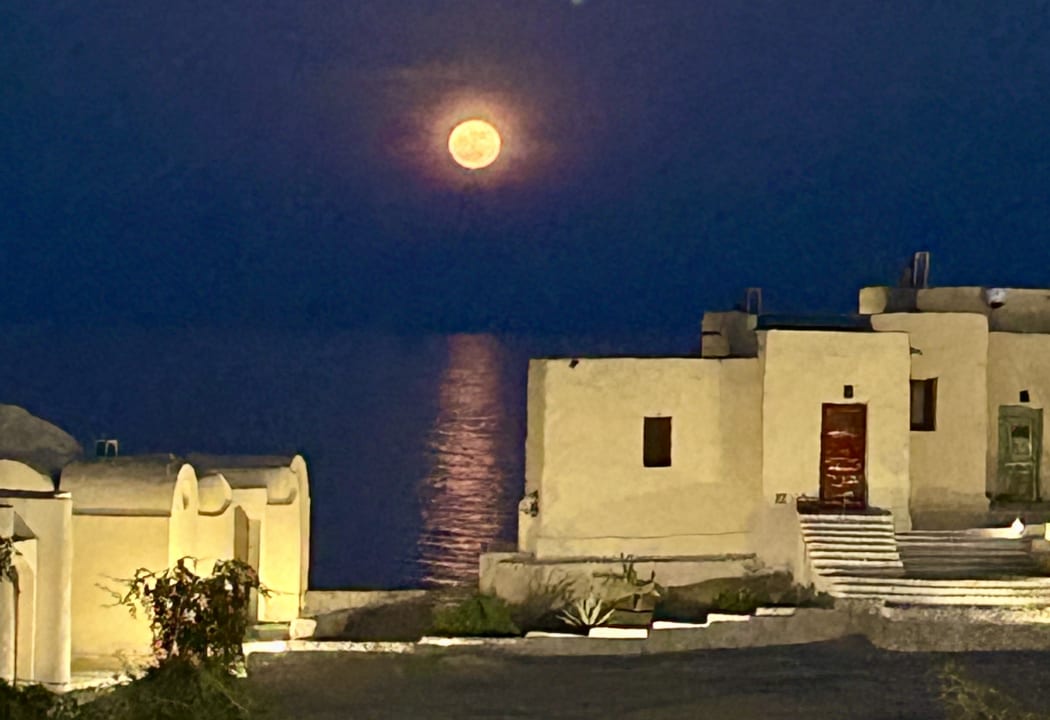 Außenansicht The Oasis Dive Resort