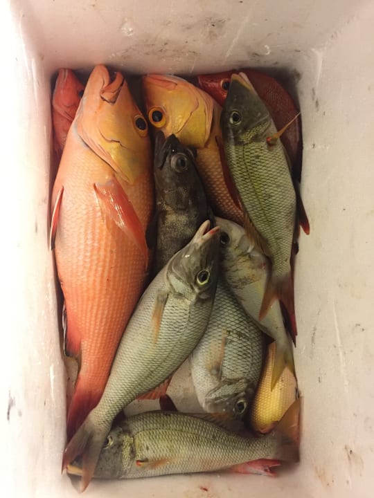 Sport & Freizeit Fun Island Resort & Spa (Im Umbau/Renovierung)