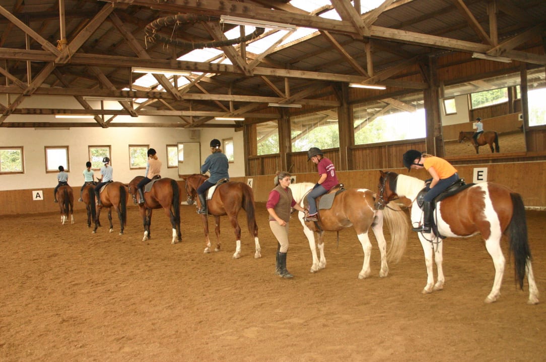 2 Reithallen und 2 Reitplätze und endloses Gelände Kollerhof