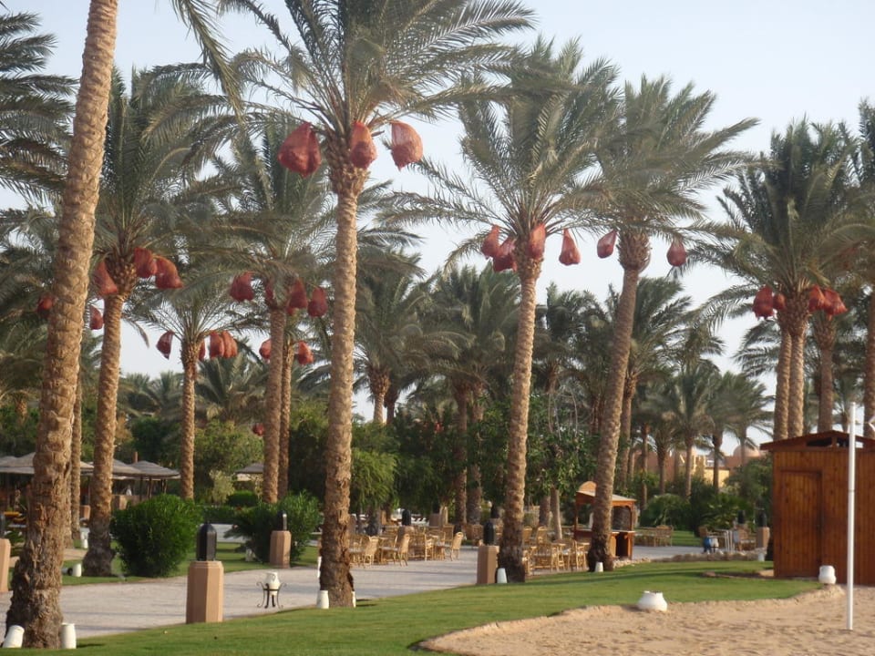 Strandpromenade Makadi Palace