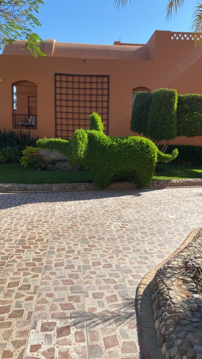 Gartenanlage Hotel JAZ Makadi Star & Spa