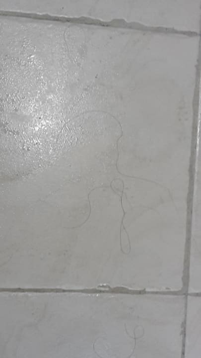 Schimmel im Spa-Bereich  Effect Grand Victoria Hotel