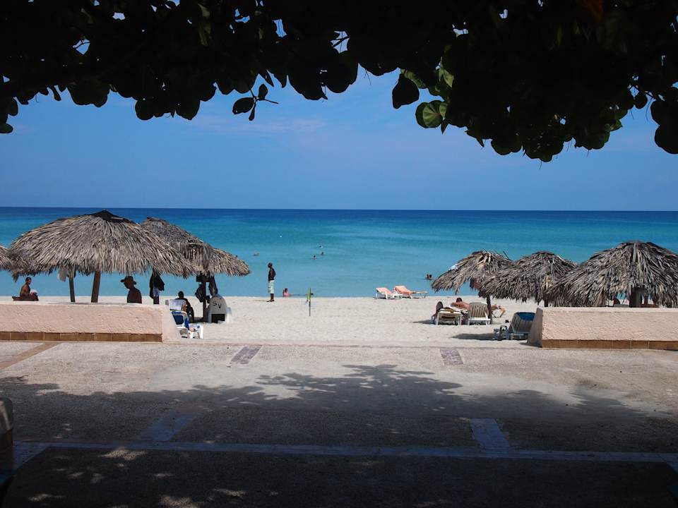 Plaża Starfish Cuatro Palmas