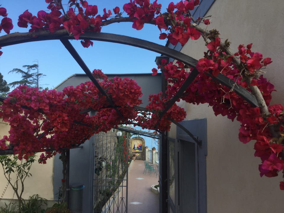 Gartenanlage Hotel Domus San Vincenzo