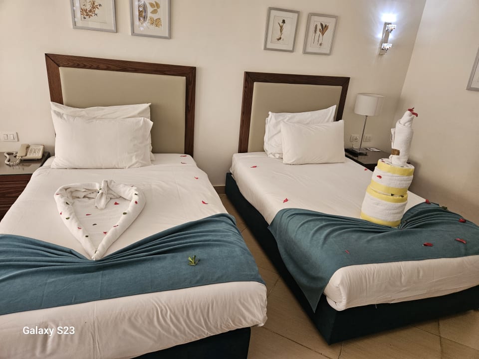 Zimmer Jaz Soma Beach