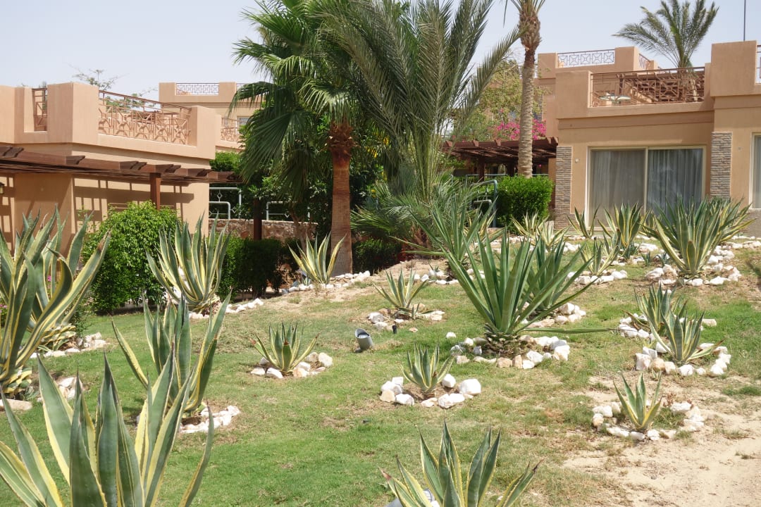 Gartenanlage Shams Prestige Abu Soma-Adults Only